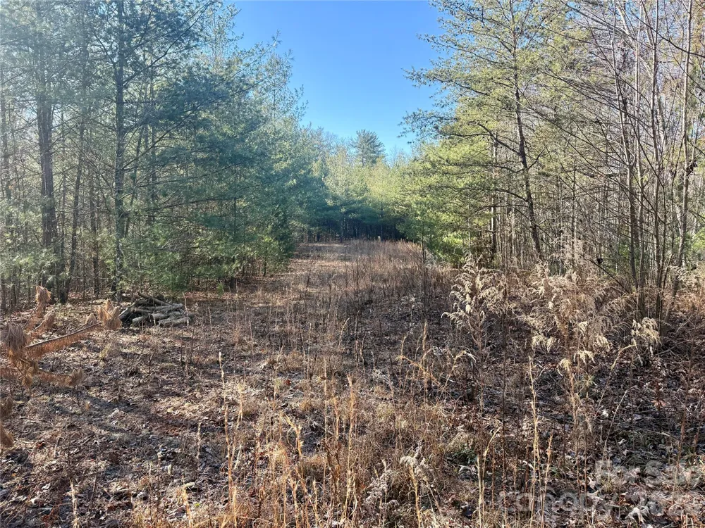 2095 Hitching Post Trail #G45 Lenoir, NC 28645