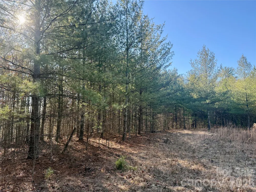 2095 Hitching Post Trail #G45 Lenoir, NC 28645