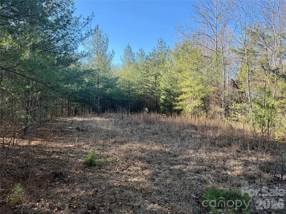 2095 Hitching Post Trail #G45 Lenoir, NC 28645