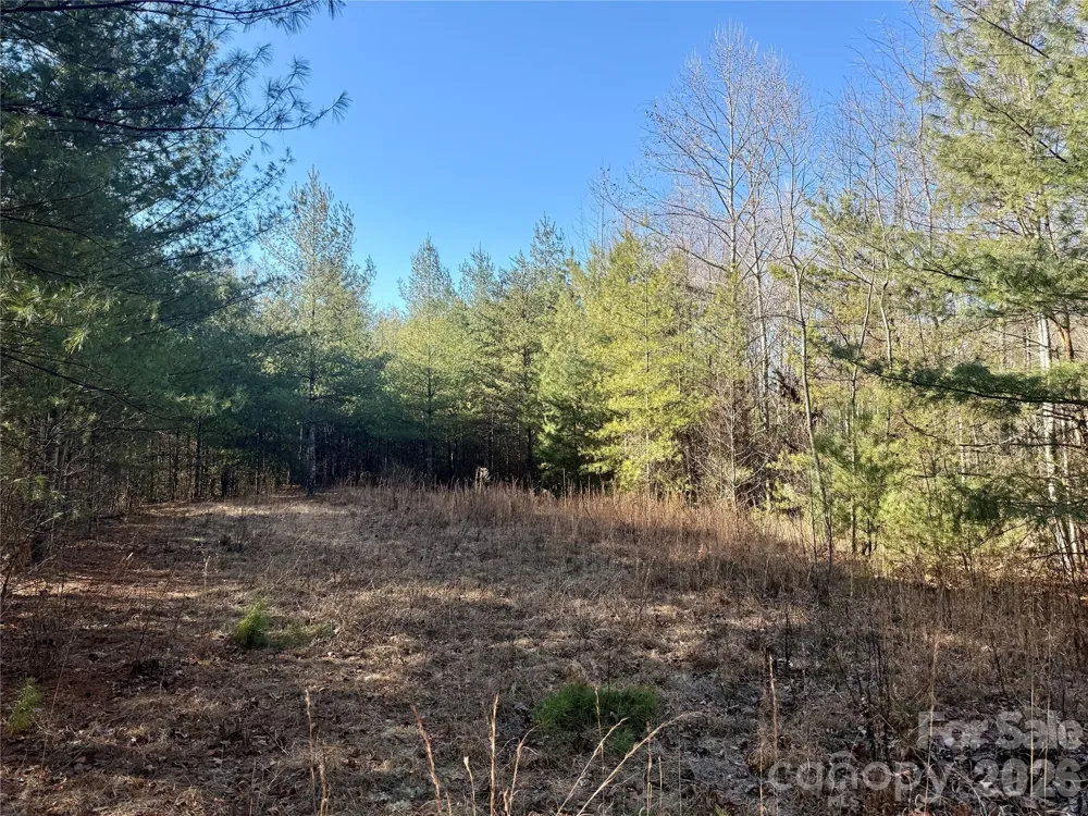 2095 Hitching Post Trail #G45 Lenoir, NC 28645