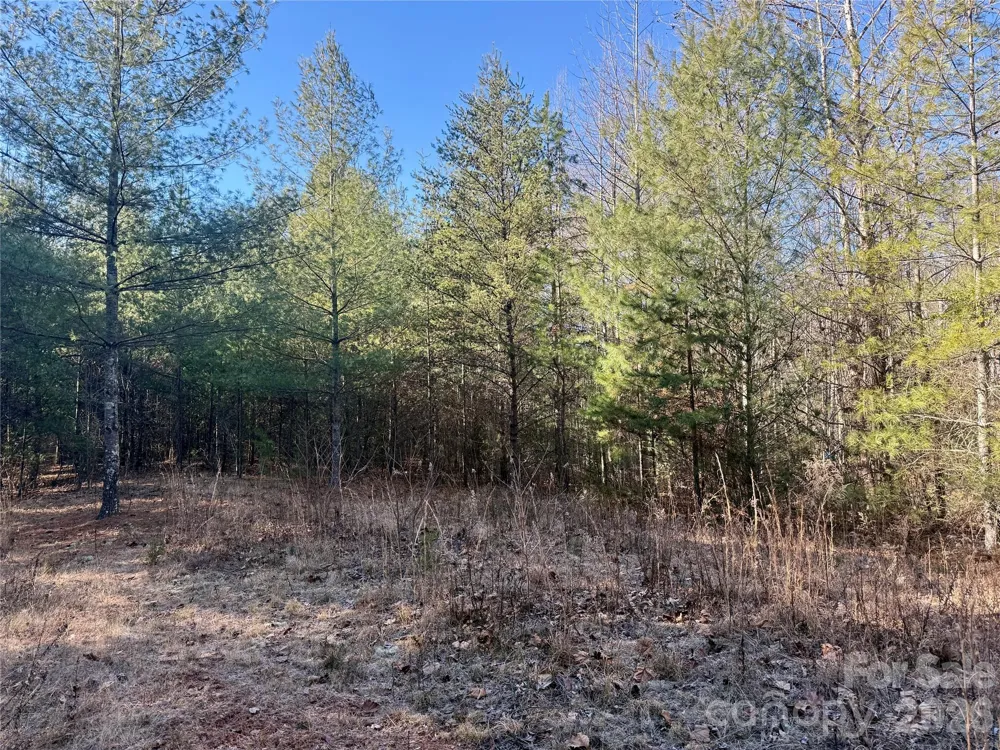 2095 Hitching Post Trail #G45 Lenoir, NC 28645