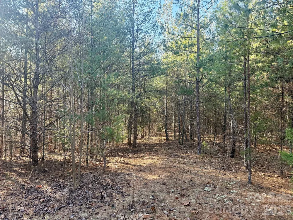 2095 Hitching Post Trail #G45 Lenoir, NC 28645