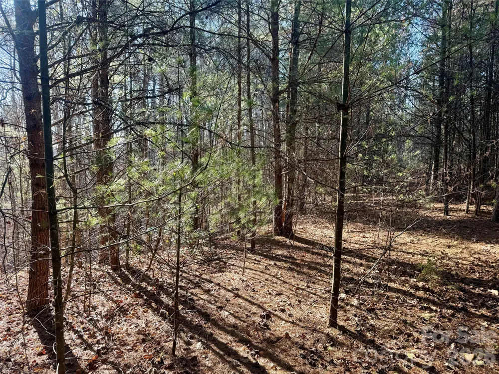 2095 Hitching Post Trail #G45 Lenoir, NC 28645