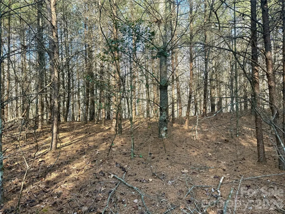 2095 Hitching Post Trail #G45 Lenoir, NC 28645
