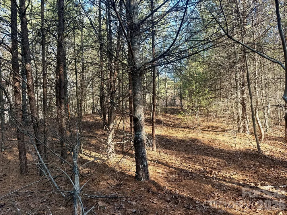 2095 Hitching Post Trail #G45 Lenoir, NC 28645