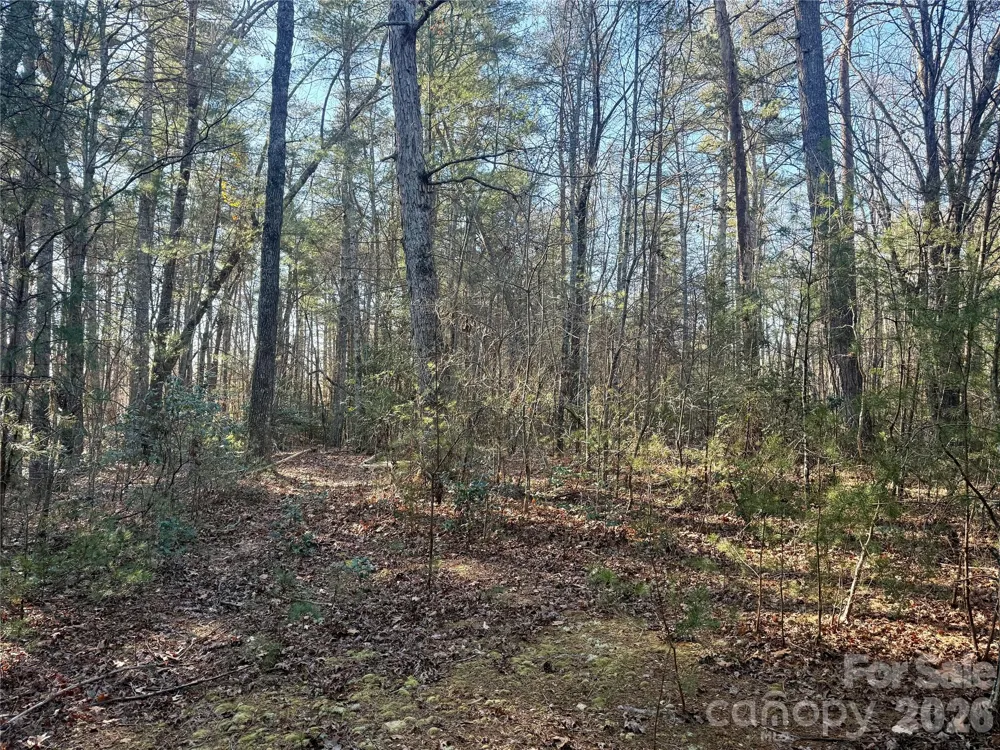 2095 Hitching Post Trail #G45 Lenoir, NC 28645