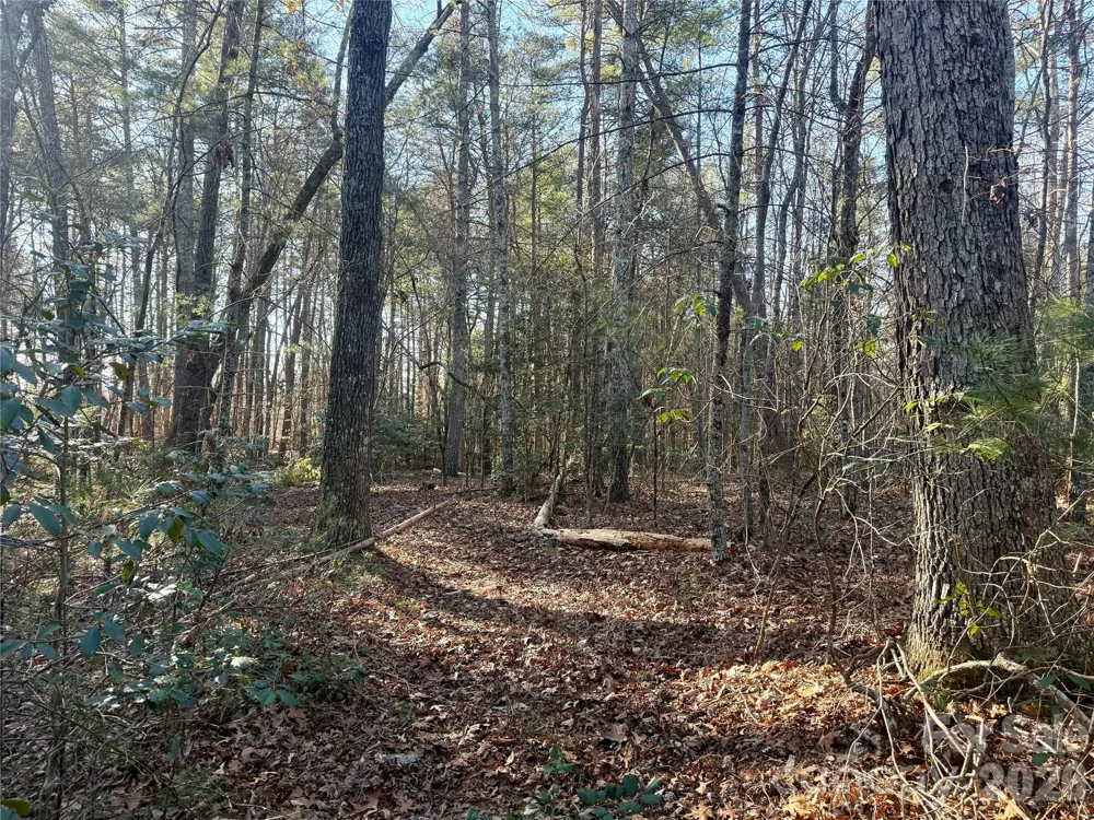 2095 Hitching Post Trail #G45 Lenoir, NC 28645