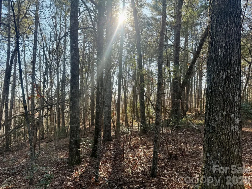 2095 Hitching Post Trail #G45 Lenoir, NC 28645