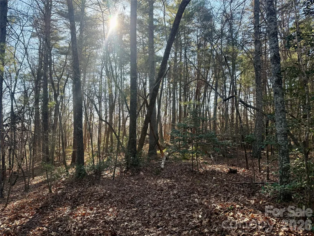 2095 Hitching Post Trail #G45 Lenoir, NC 28645