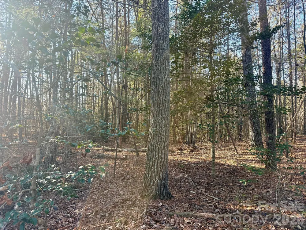 2095 Hitching Post Trail #G45 Lenoir, NC 28645