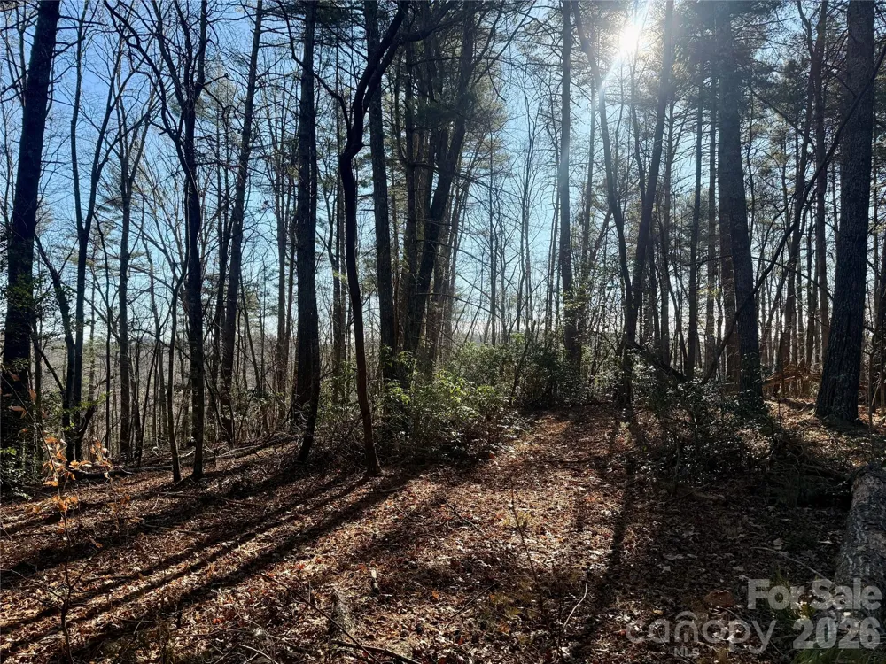 2095 Hitching Post Trail #G45 Lenoir, NC 28645
