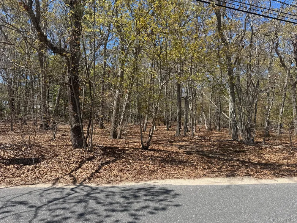 725 Youngs Avenue Mattituck, NY 11952