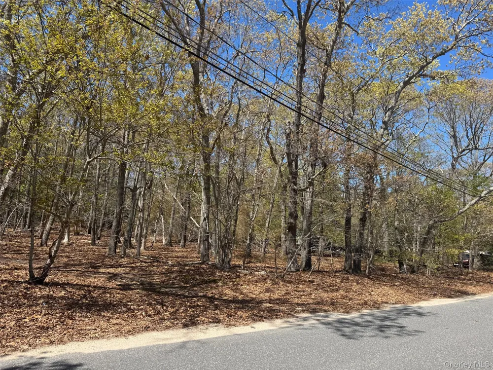 725 Youngs Avenue Mattituck, NY 11952
