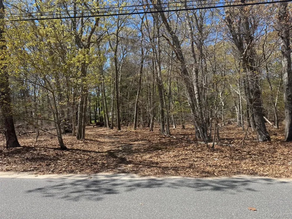 725 Youngs Avenue Mattituck, NY 11952