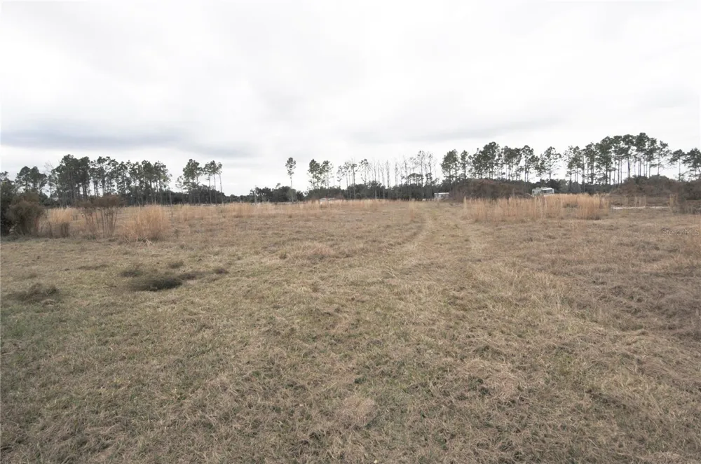 14780 SUGAR BOWL ROAD Myakka City, FL 34251