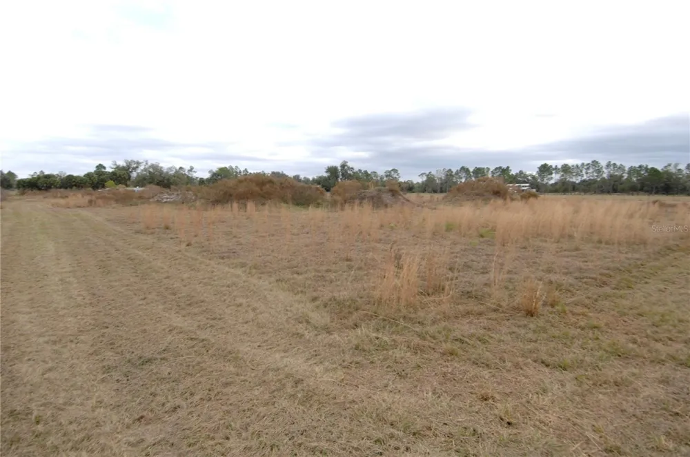 14780 SUGAR BOWL ROAD Myakka City, FL 34251