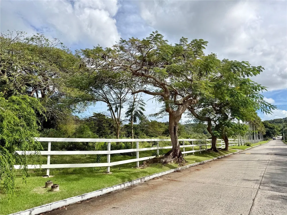 5 BATEY OESTE #14 Luquillo, PR 00773