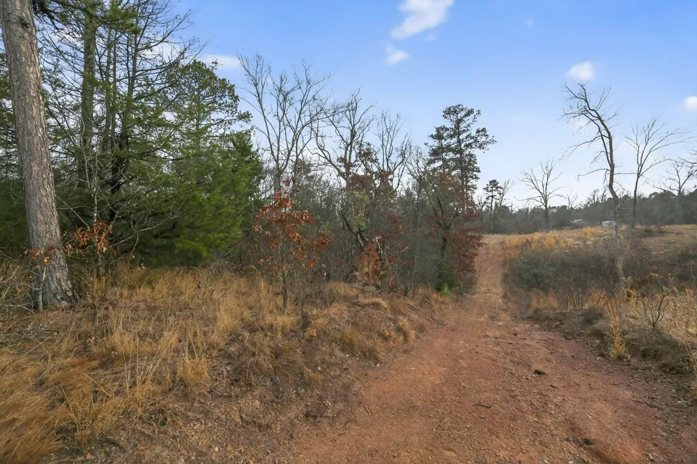 868 County Road 2920 Alba, TX 75410
