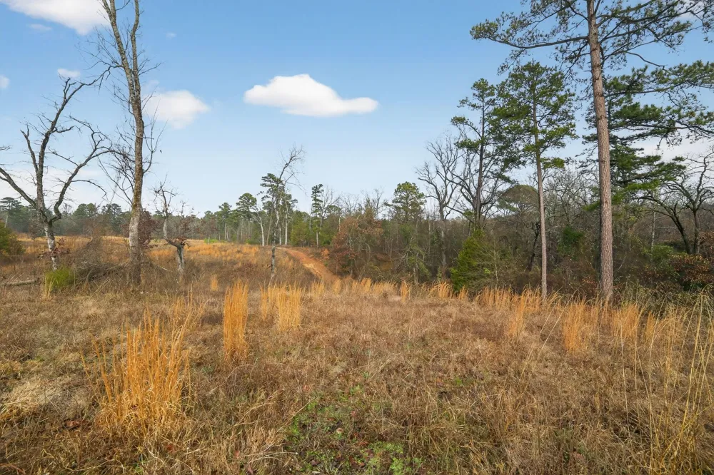 868 County Road 2920 Alba, TX 75410