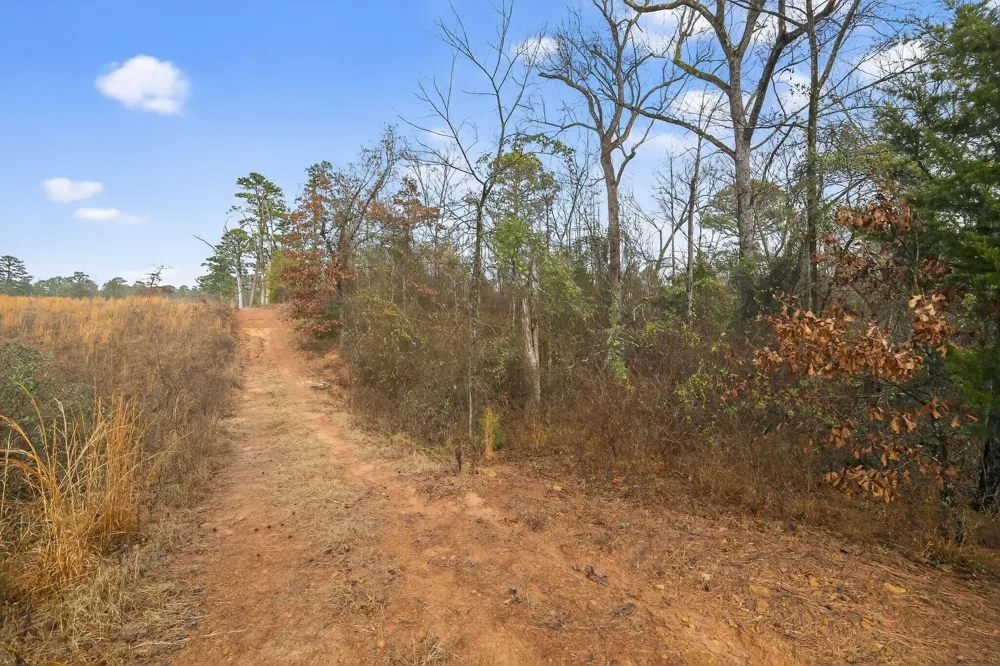 868 County Road 2920 Alba, TX 75410