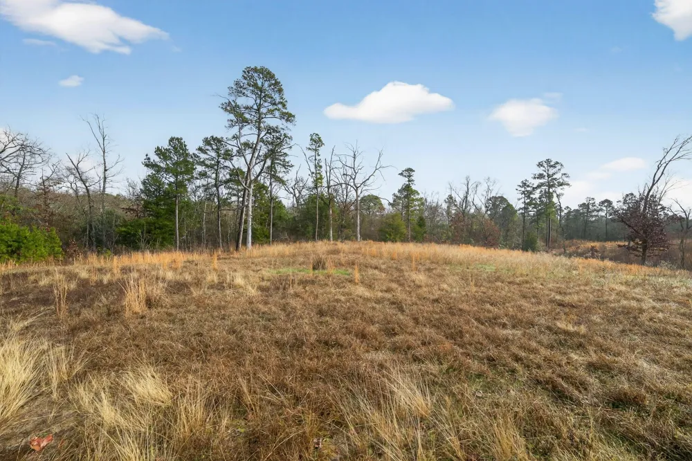 868 County Road 2920 Alba, TX 75410