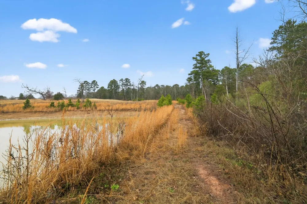868 County Road 2920 Alba, TX 75410