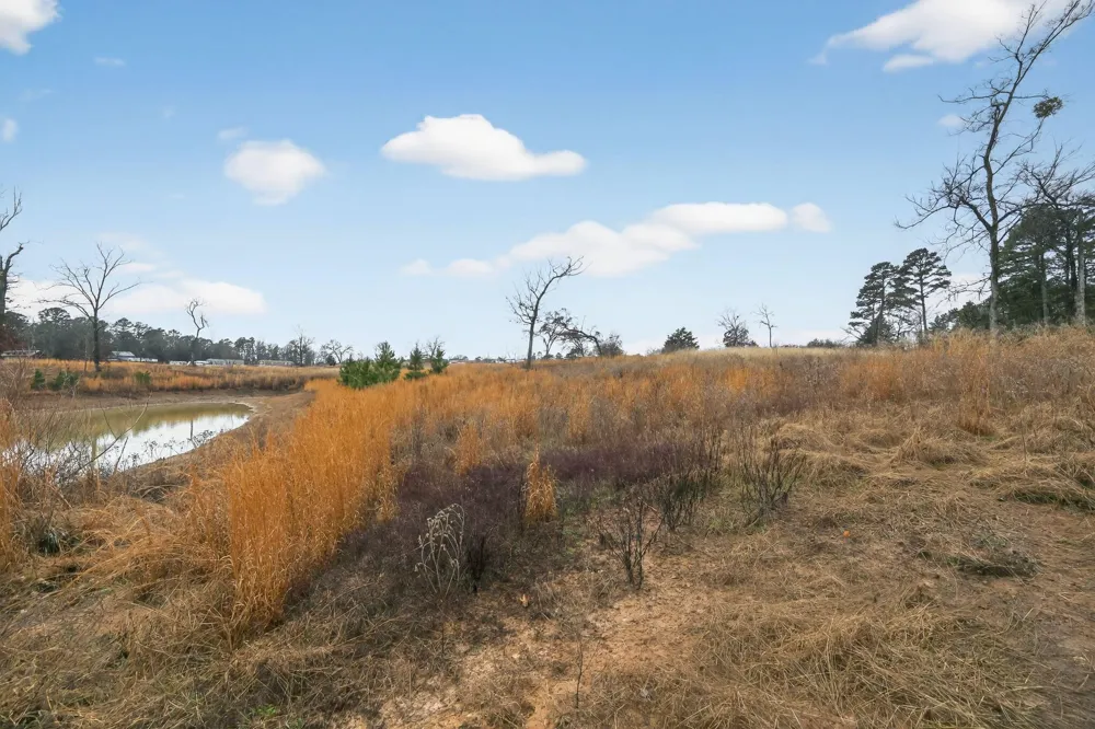 868 County Road 2920 Alba, TX 75410