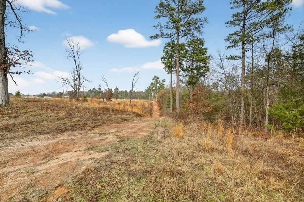 868 County Road 2920 Alba, TX 75410
