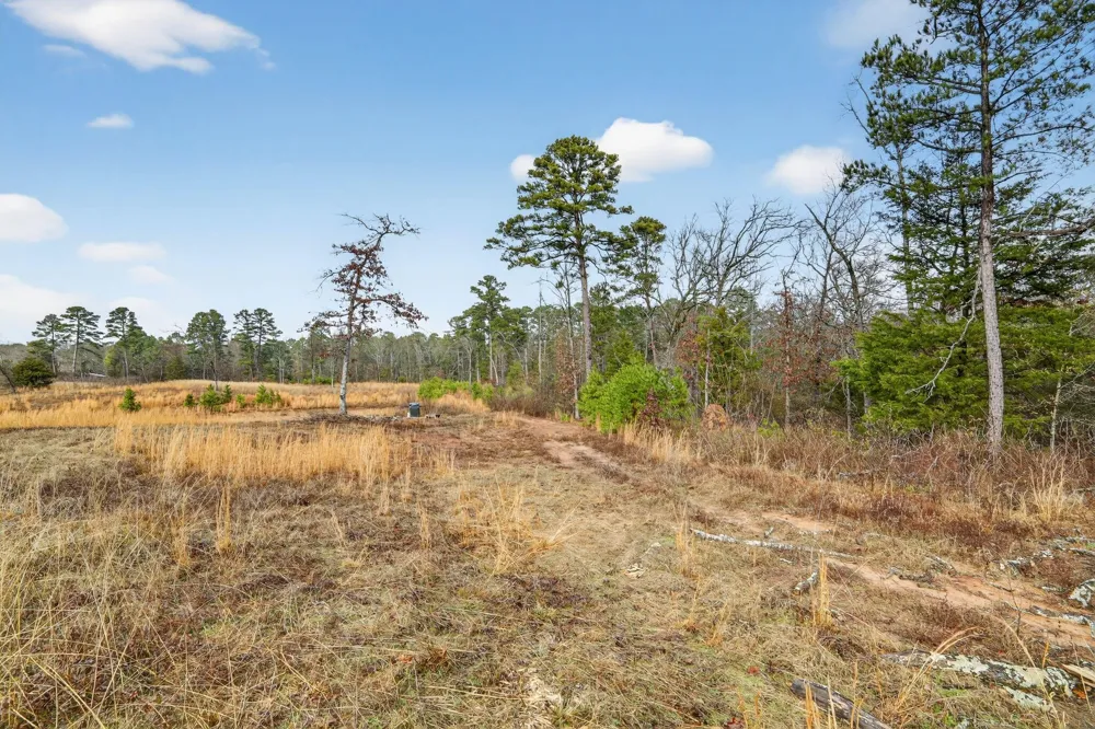 868 County Road 2920 Alba, TX 75410