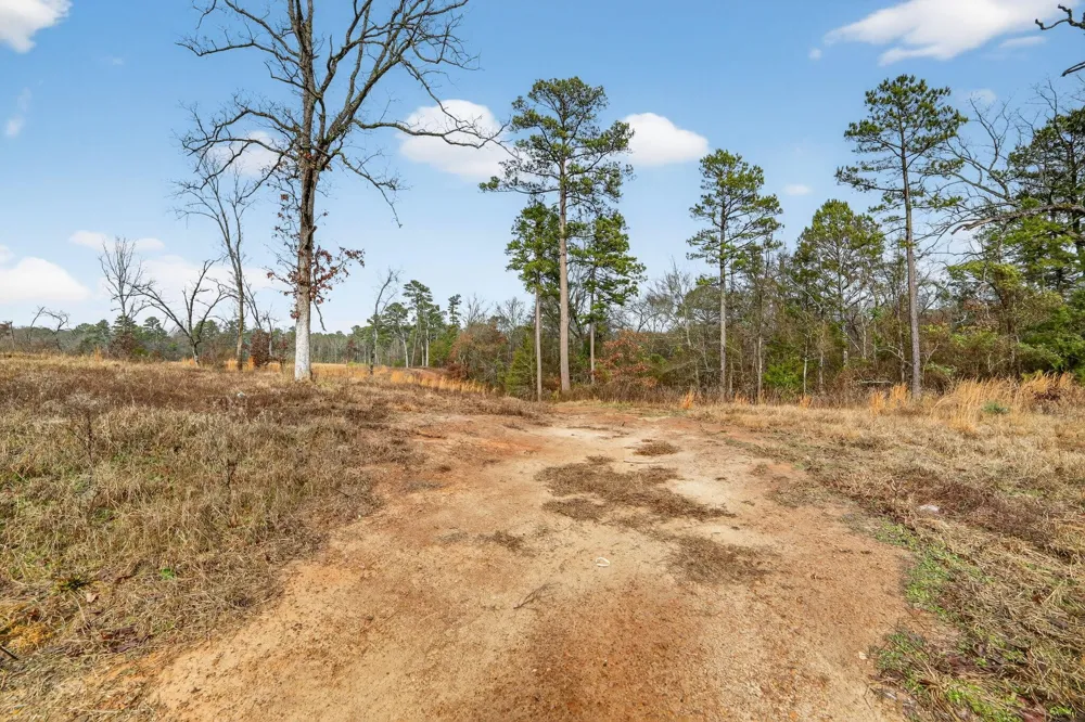 868 County Road 2920 Alba, TX 75410