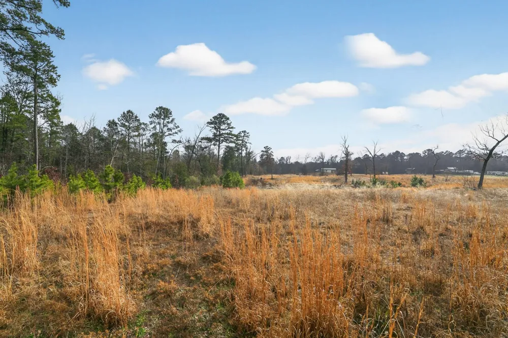 868 County Road 2920 Alba, TX 75410