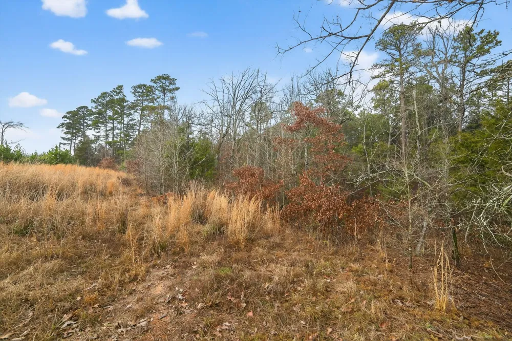 868 County Road 2920 Alba, TX 75410