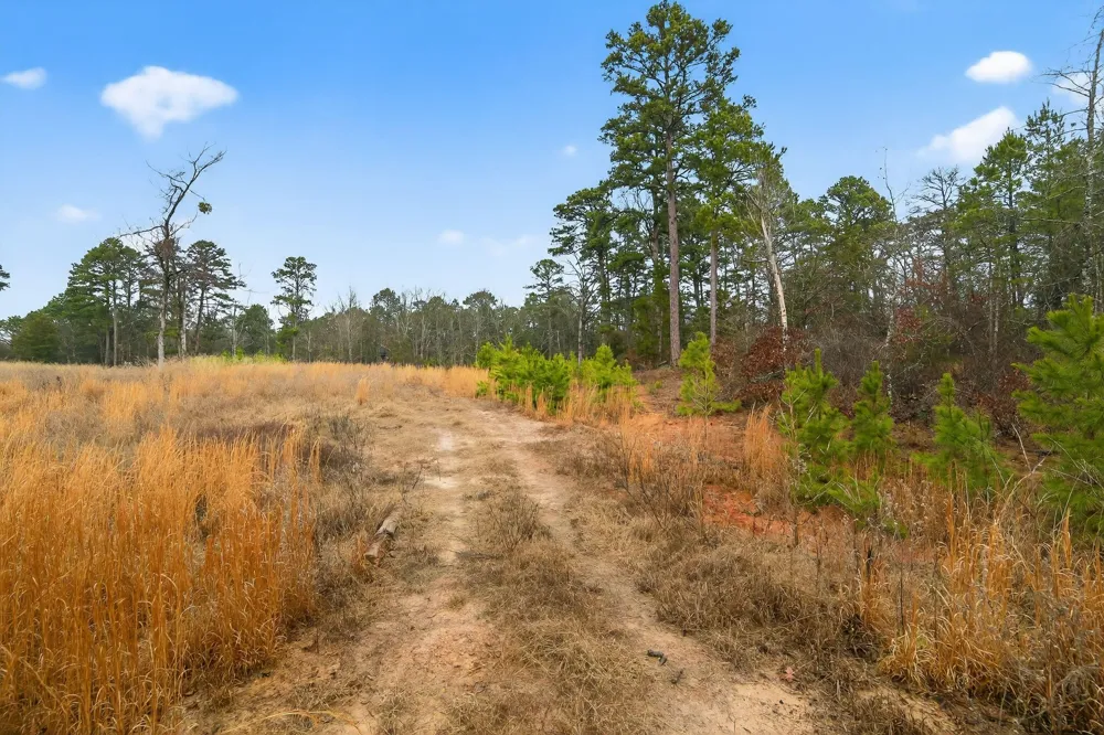 868 County Road 2920 Alba, TX 75410