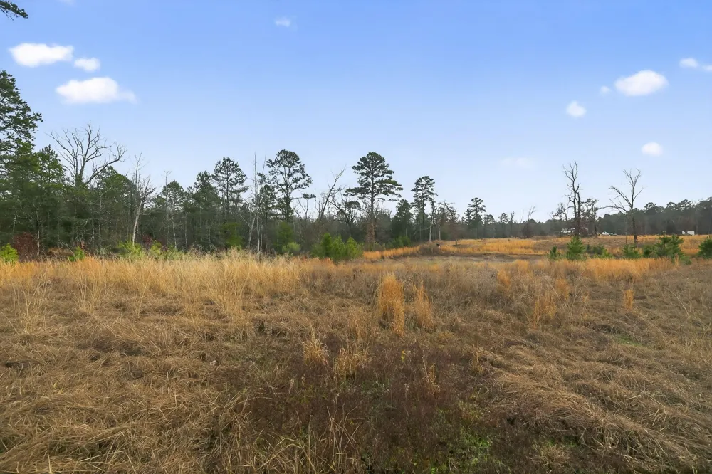 868 County Road 2920 Alba, TX 75410