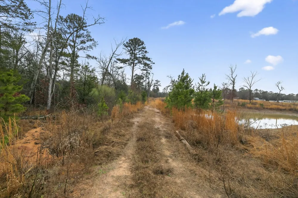 868 County Road 2920 Alba, TX 75410