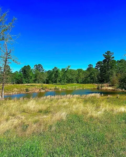 868 County Road 2920