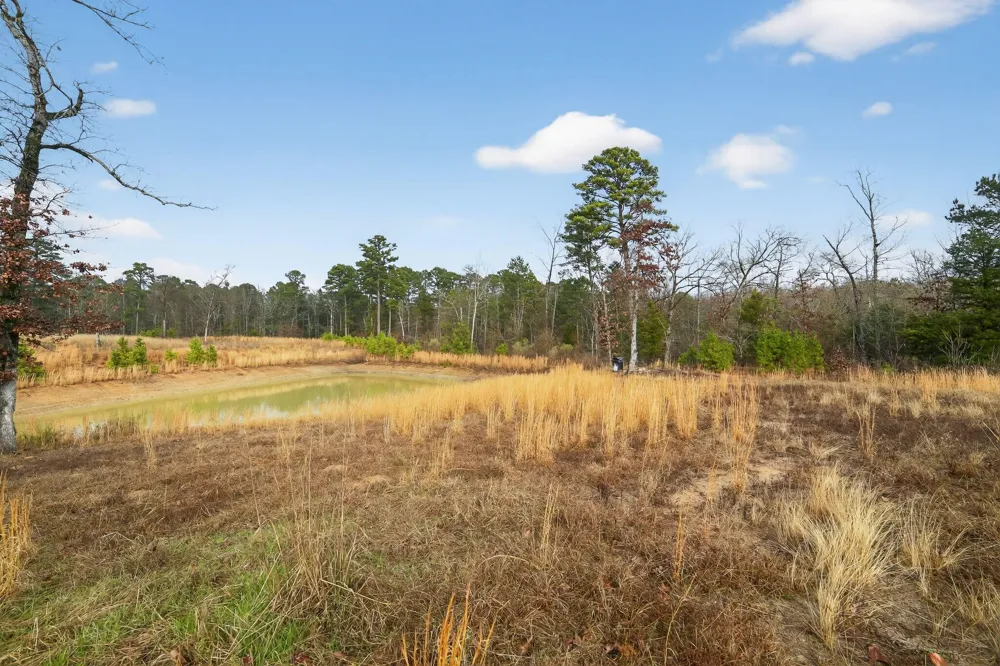 868 County Road 2920 Alba, TX 75410