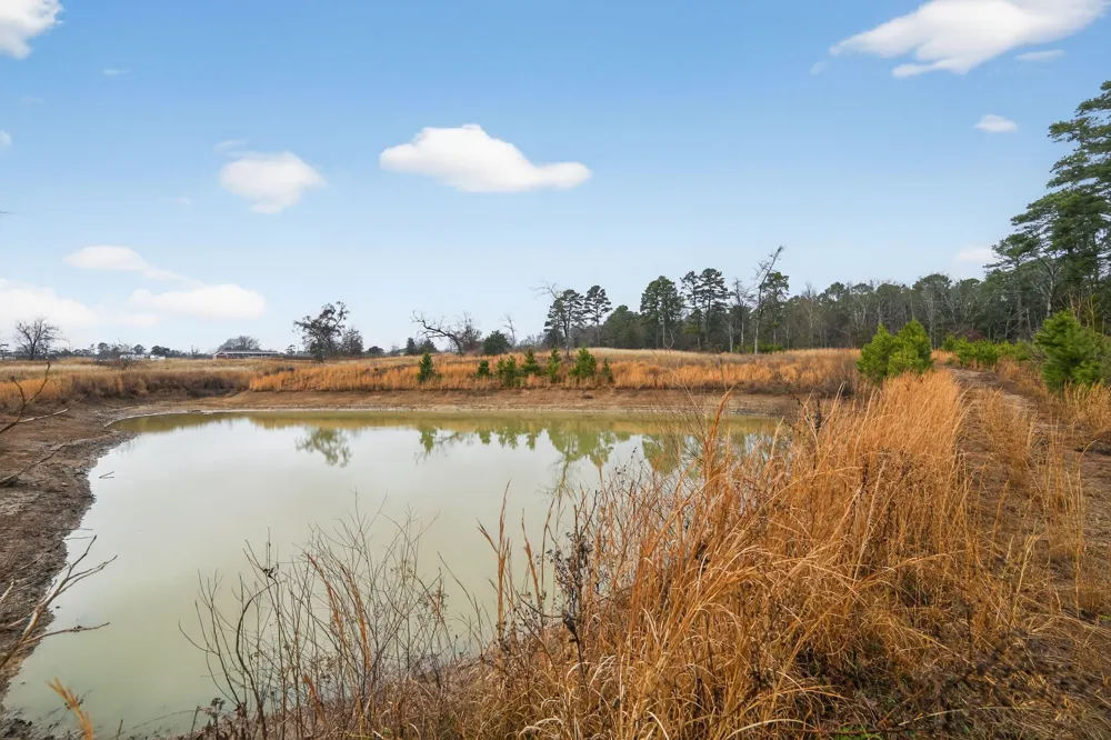 868 County Road 2920 Alba, TX 75410