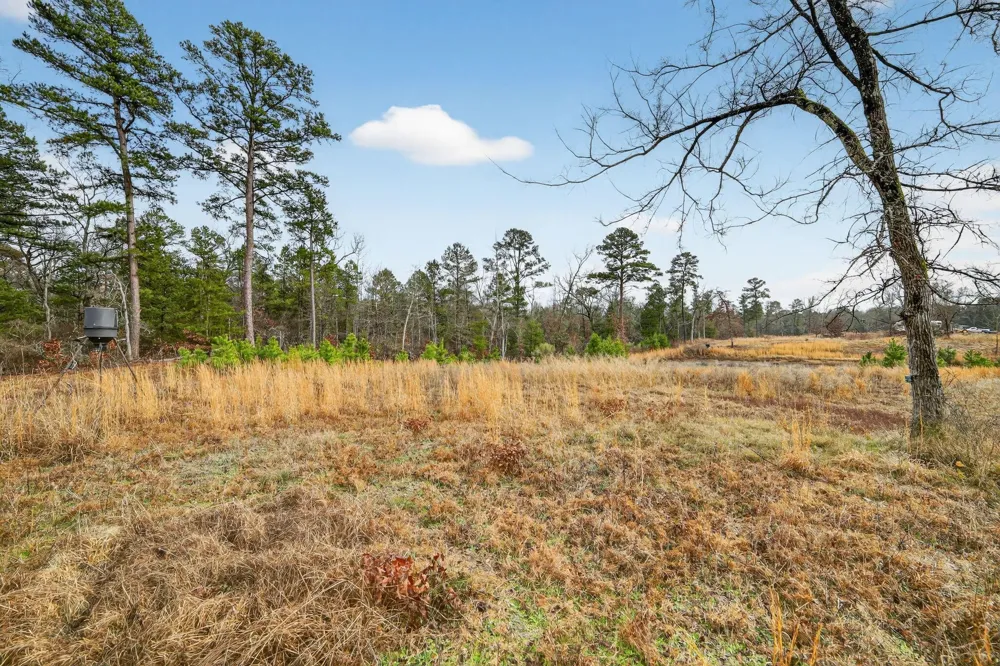 868 County Road 2920 Alba, TX 75410
