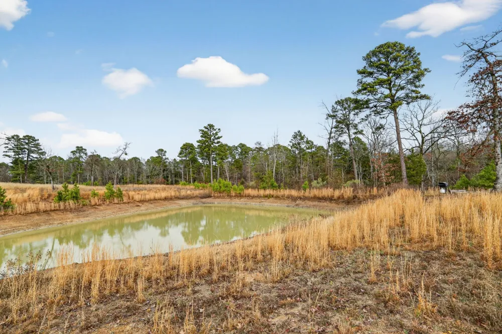 868 County Road 2920 Alba, TX 75410