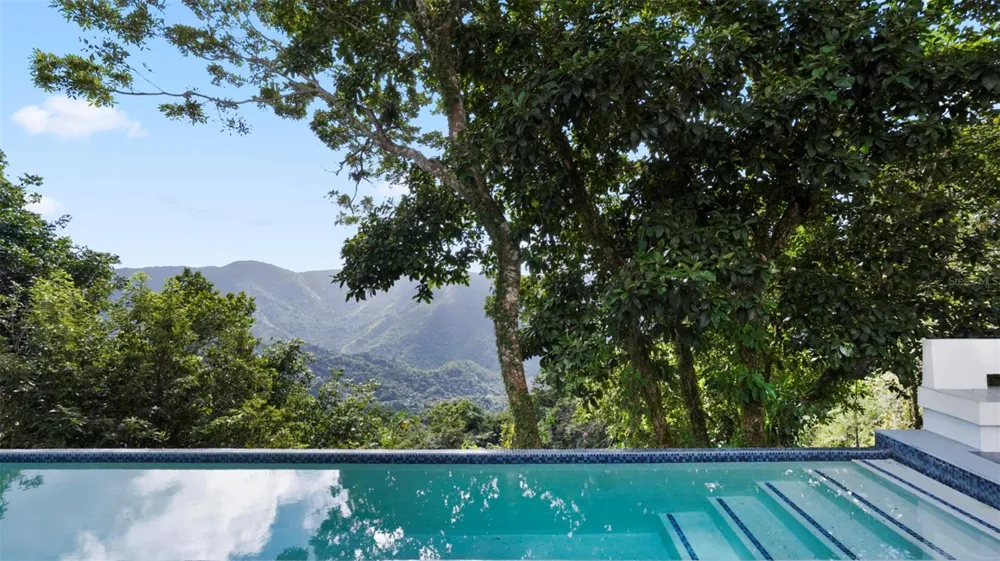 km 16.5 PR-15 Cayey, PR 00736