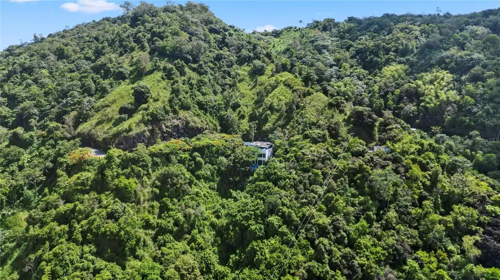 km 16.5 PR-15 Cayey, PR 00736