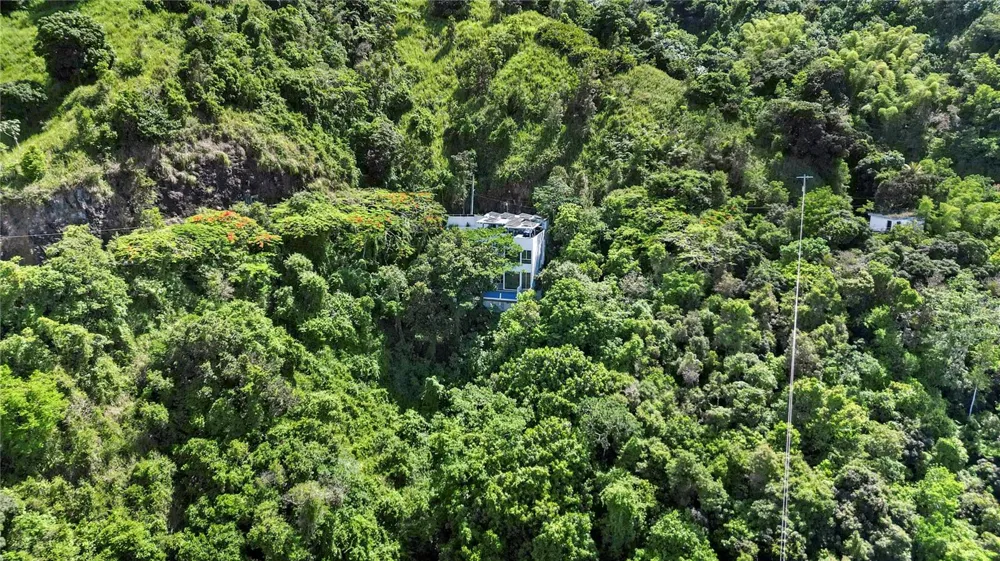 km 16.5 PR-15 Cayey, PR 00736