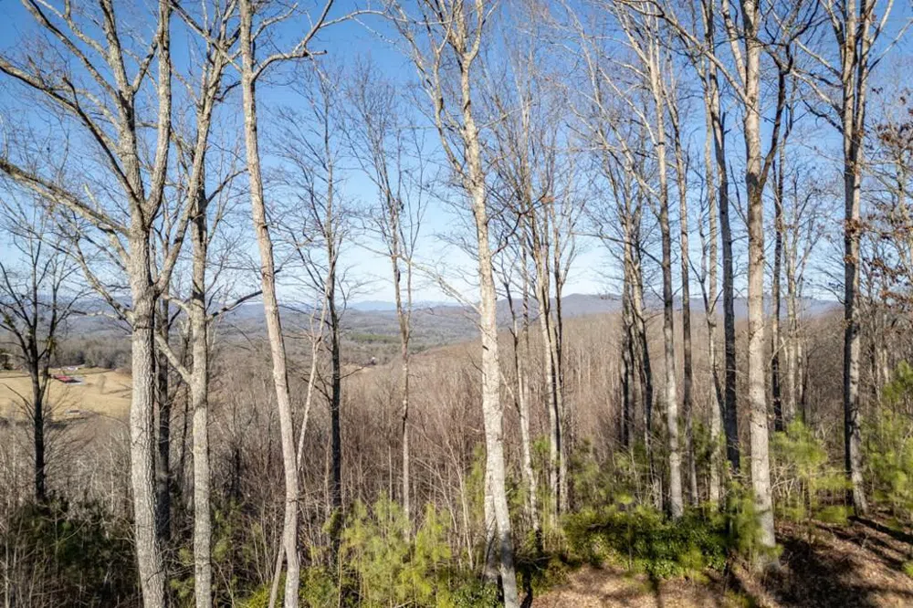 Lot 89 Thirteen Hundred