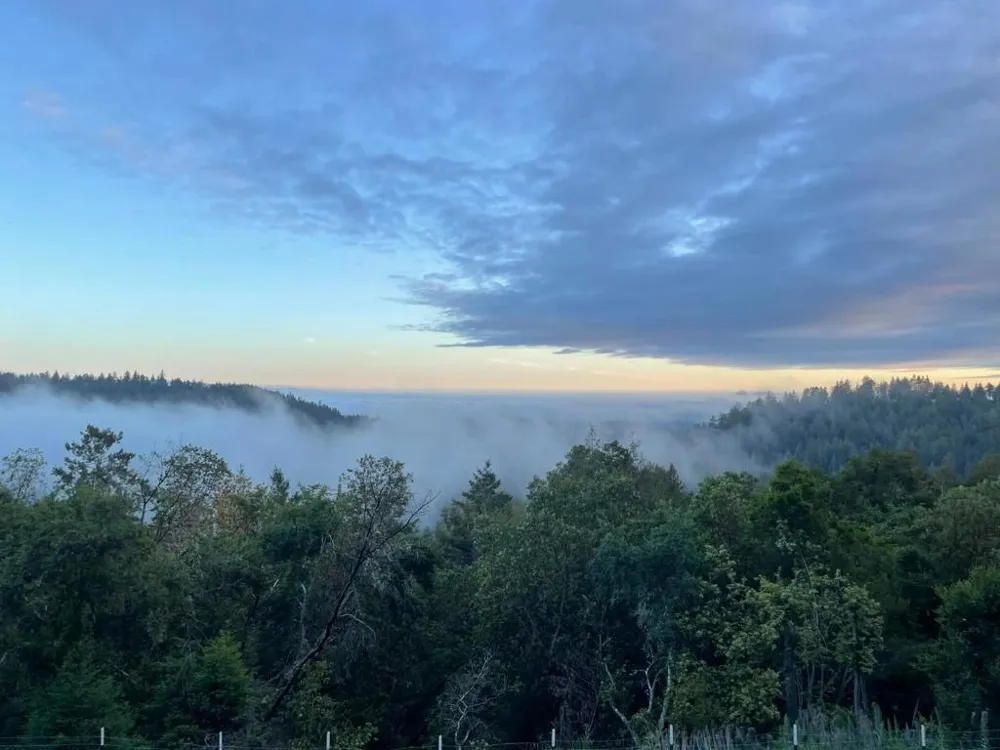 132 Pax Place Court Aptos, CA 95003