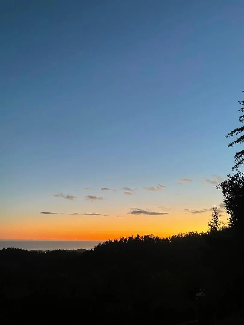 132 Pax Place Court Aptos, CA 95003