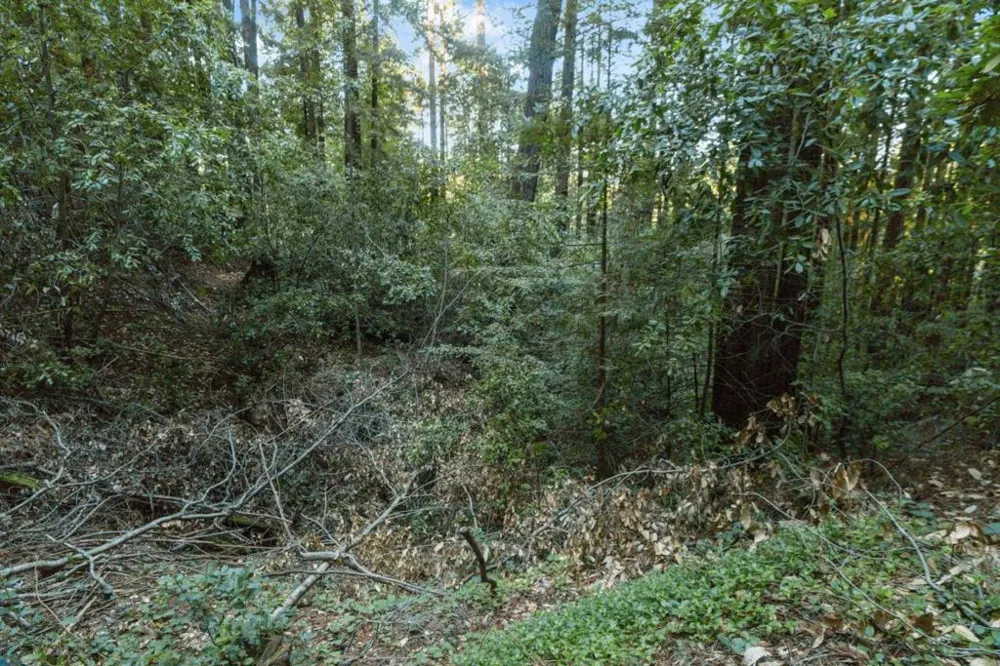 Country Club Drive Ben Lomond, CA 95005