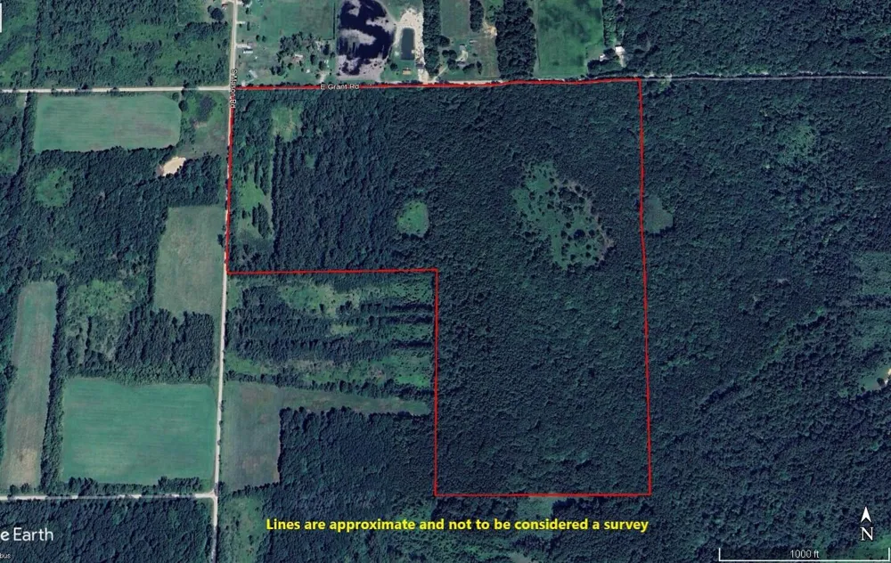 S Mason Road Ashley, MI 48806