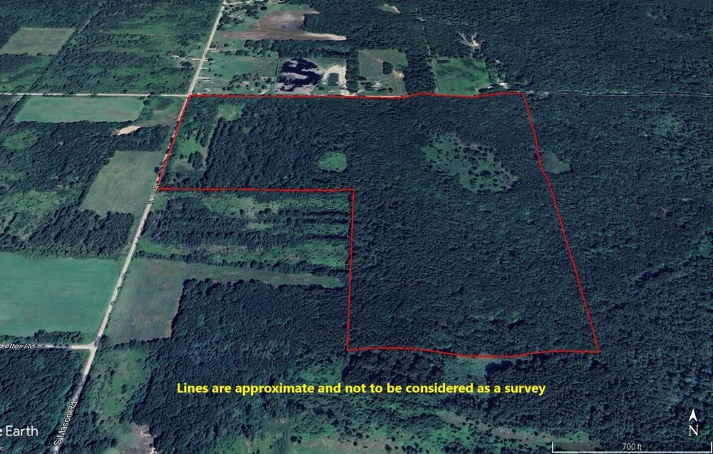 S Mason Road Ashley, MI 48806