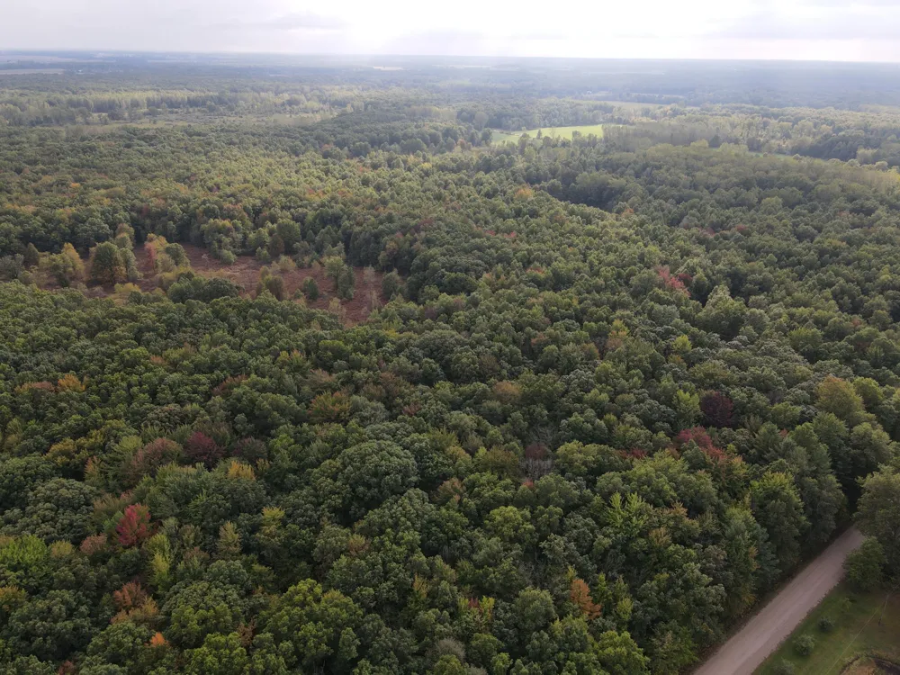 S Mason Road Ashley, MI 48806